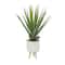 3ft. Potted White Plastic Modern Aloe Vera Artificial Foliage